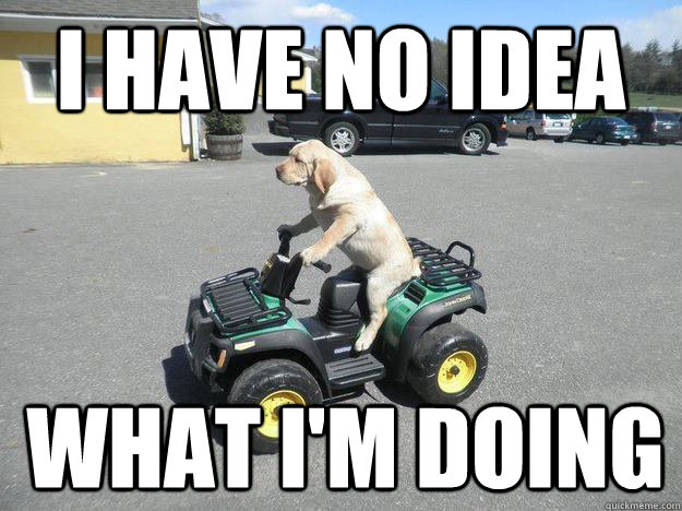 I HAVE NO IDEA WHAT I'M DOING - I HAVE NO IDEA WHAT I'M DOING  Misc