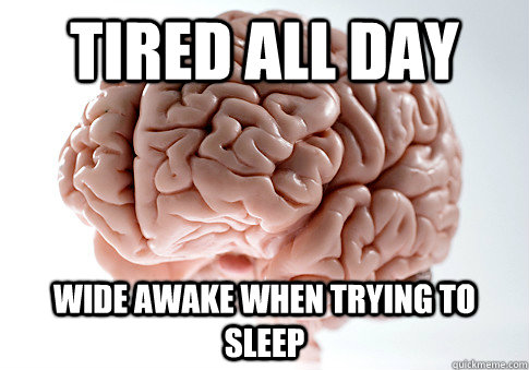 TIRED ALL DAY WIDE AWAKE WHEN TRYING TO SLEEP  - TIRED ALL DAY WIDE AWAKE WHEN TRYING TO SLEEP   Scumbag Brain