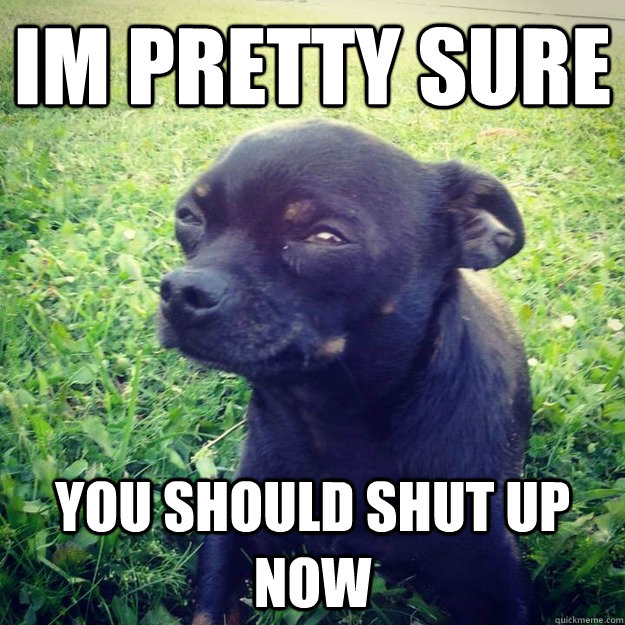 IM PRETTY SURE You should shut up now - IM PRETTY SURE You should shut up now  Skeptical Dog