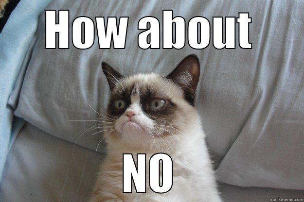 HOW ABOUT NO Grumpy Cat