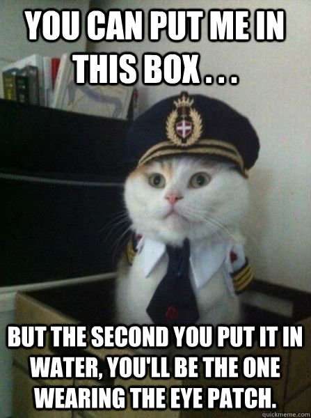 You can put me in this box . . . but the second you put it in water, you'll be the one wearing the eye patch.  Captain kitteh