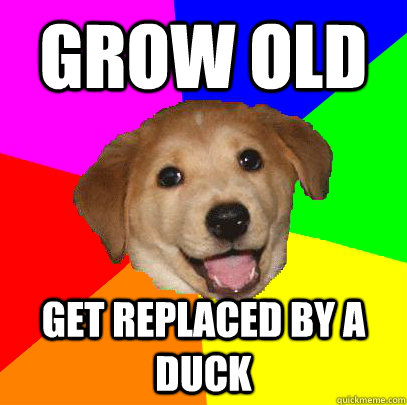 Grow old get replaced by a duck  Advice Dog