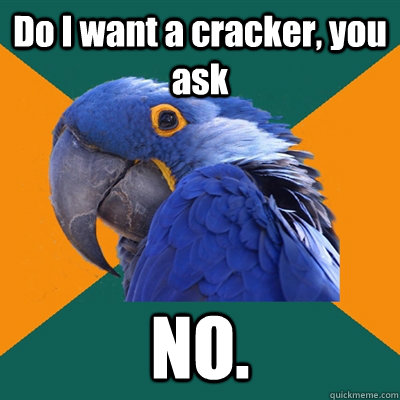 Do I want a cracker, you ask NO.  Paranoid Parrot