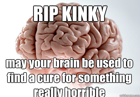 RIP KINKY  may your brain be used to find a cure for something really horrible  Scumbag Brain