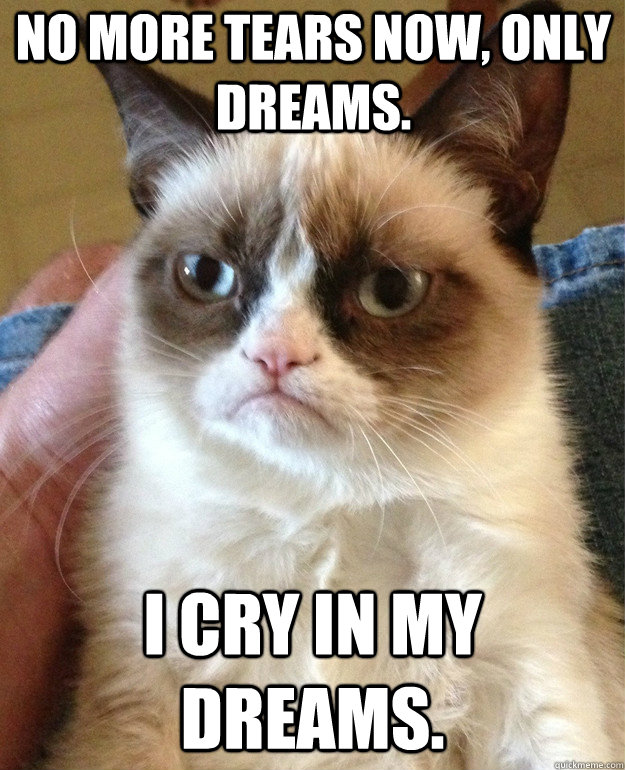 No more tears now, only dreams. I cry in my dreams.  Grumpy Cat