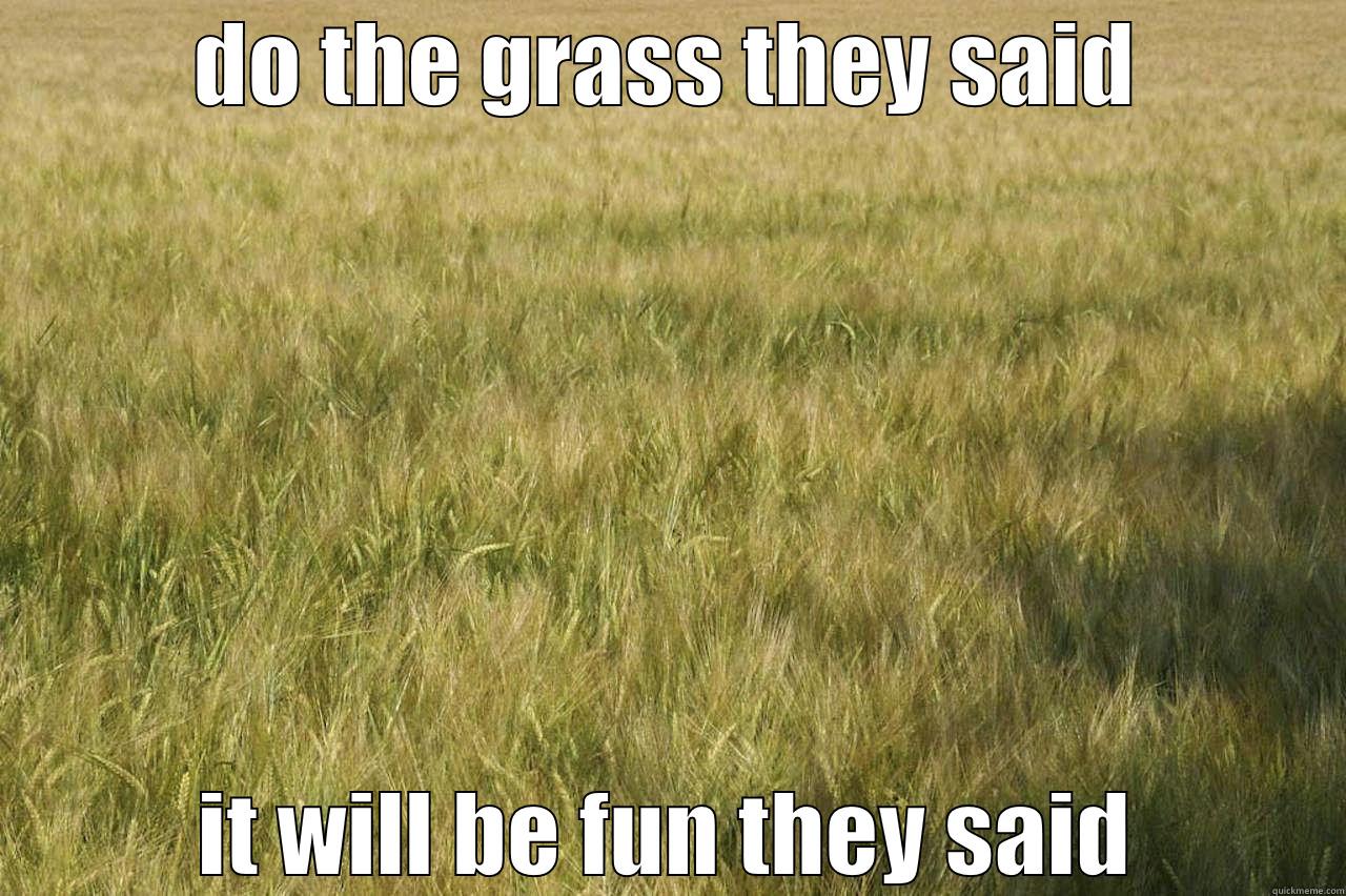 grass madness - DO THE GRASS THEY SAID IT WILL BE FUN THEY SAID Misc