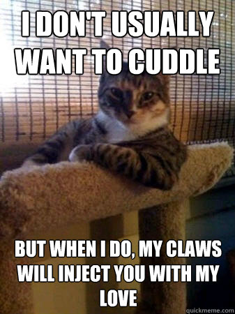 I don't usually want to cuddle but when I do, my claws will inject you with my love  The Most Interesting Cat in the World
