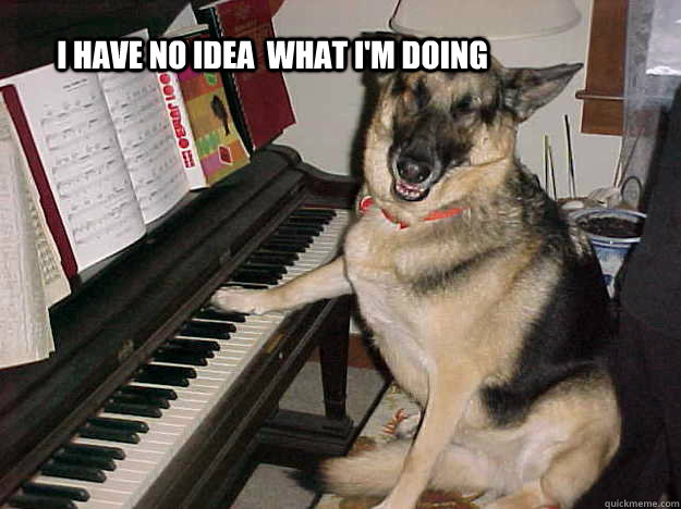 I have no idea  what i'm doing  Dog Plays Piano