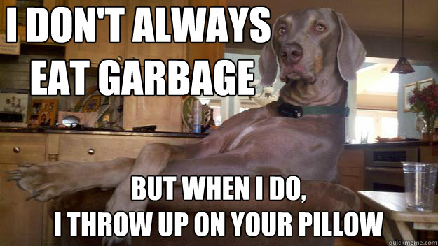 i don't always
 eat garbage but when i do, 
I throw up on your pillow - i don't always
 eat garbage but when i do, 
I throw up on your pillow  Misc