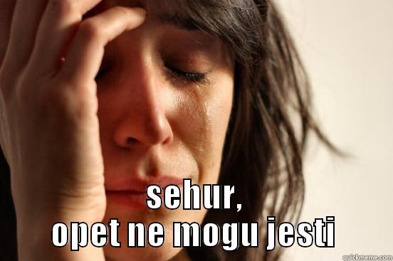   SEHUR, OPET NE MOGU JESTI First World Problems