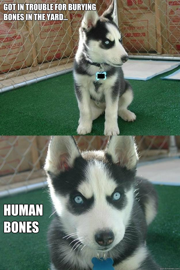 Got in trouble for burying 
bones in the yard... Human 
bones  Insanity puppy