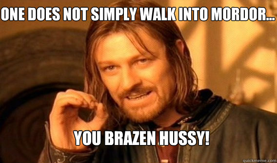 One does not simply walk into mordor... you brazen hussy! - One does not simply walk into mordor... you brazen hussy!  Boromir