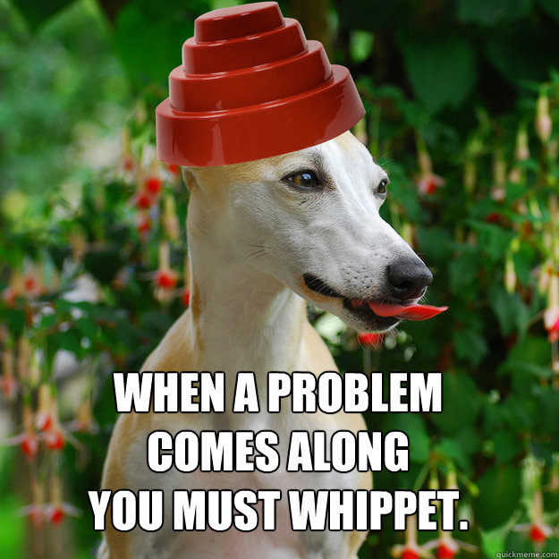 When a problem comes along
you must whippet.  Whippet