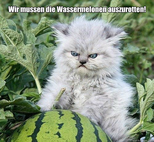 Wir mussen die Wassermelonen auszurotten!  