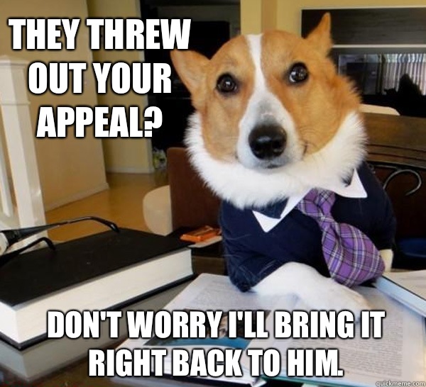 They threw out your appeal? Don't worry I'll bring it right back to him.  Lawyer Dog
