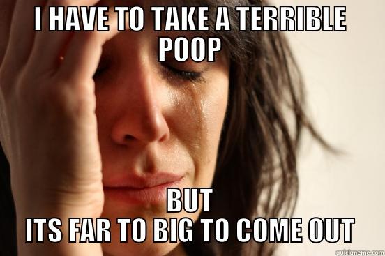 I HAVE TO TAKE A TERRIBLE POOP BUT ITS FAR TO BIG TO COME OUT First World Problems