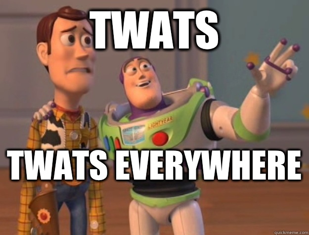 Twats  Twats everywhere  - Twats  Twats everywhere   Buzz Lightyear