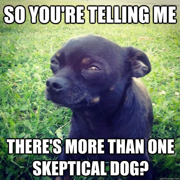 SO YOU'RE TELLING ME THERE'S MORE THAN ONE SKEPTICAL DOG? - SO YOU'RE TELLING ME THERE'S MORE THAN ONE SKEPTICAL DOG?  Skeptical Dog