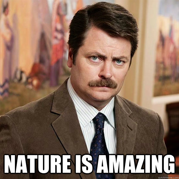 Nature is amazing  Advice Ron Swanson