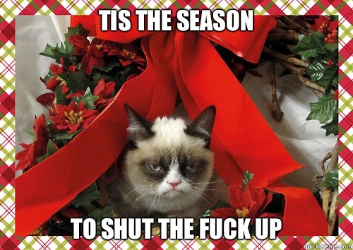 tis the season to shut the fuck up  A Grumpy Cat Christmas