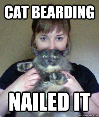 Cat Bearding Nailed it - Cat Bearding Nailed it  Cat Bearding Nailed It