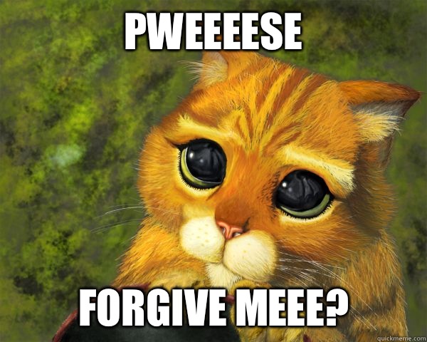 Pweeeese  forgive meee? - Pweeeese  forgive meee?  im sorry