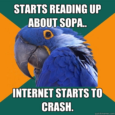 Starts reading up about SOPA.. internet starts to crash. - Starts reading up about SOPA.. internet starts to crash.  Paranoid Parrot
