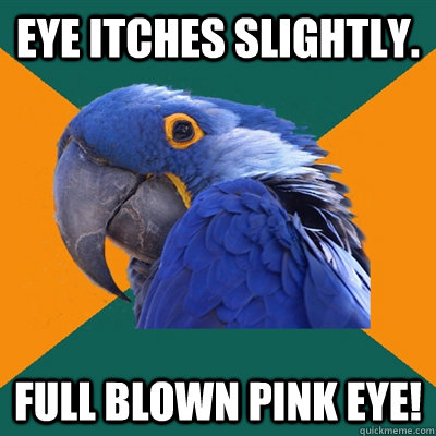 Eye itches slightly. Full blown pink eye!  Paranoid Parrot