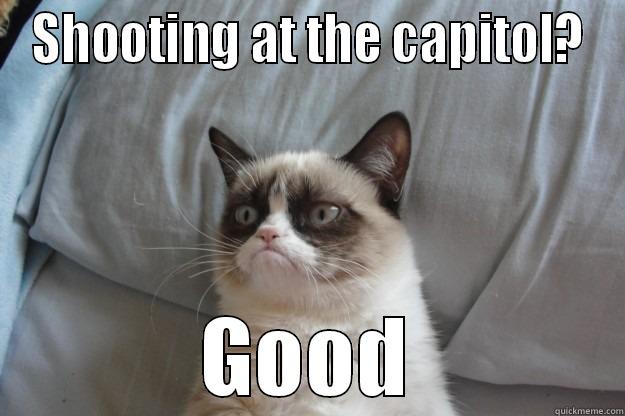 SHOOTING AT THE CAPITOL? GOOD Grumpy Cat
