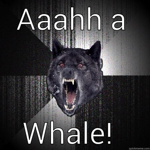 AAAHH A WHALE!  Insanity Wolf