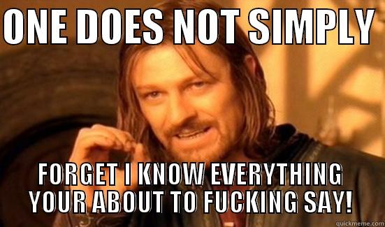 ONE DOES NOT SIMPLY  FORGET I KNOW EVERYTHING YOUR ABOUT TO FUCKING SAY! Boromir