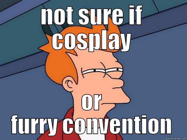 NOT SURE IF COSPLAY OR FURRY CONVENTION Futurama Fry