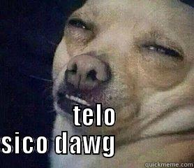  TELO SICO DAWG                Misc