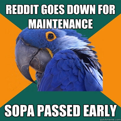 reddit goes down for maintenance sopa passed early  Paranoid Parrot