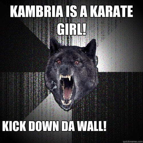 kambria is a karate girl! kick down da wall!  Insanity Wolf
