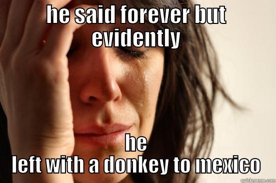 HE SAID FOREVER BUT EVIDENTLY HE LEFT WITH A DONKEY TO MEXICO First World Problems