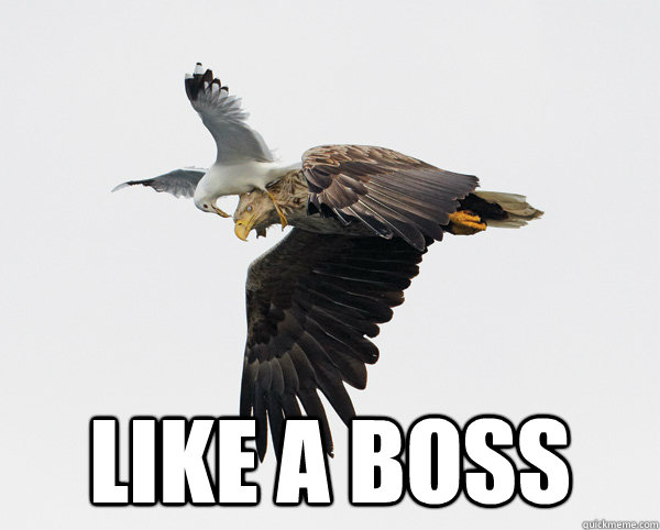 LIKE A BOSS - LIKE A BOSS  Misc