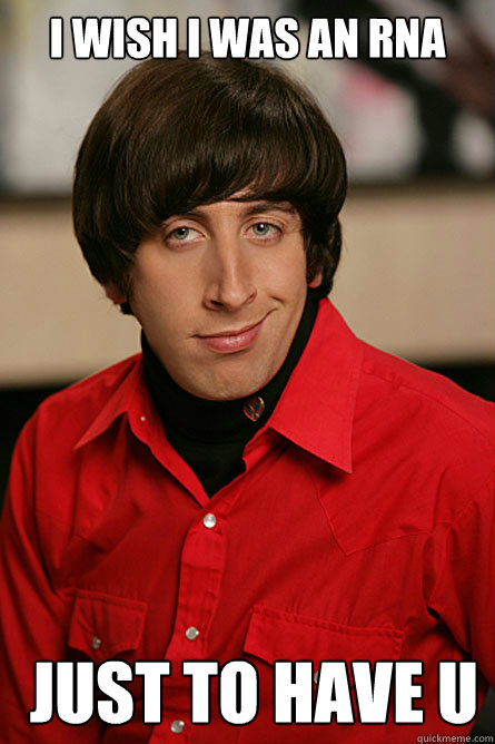 I wish I was an RNA   just to have U
  Pickup Line Scientist