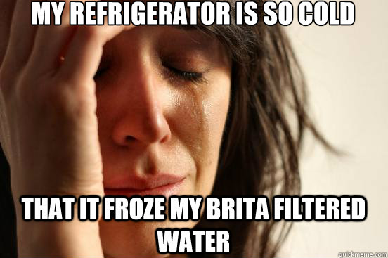 My refrigerator is so cold that it froze my brita filtered water  First World Problems
