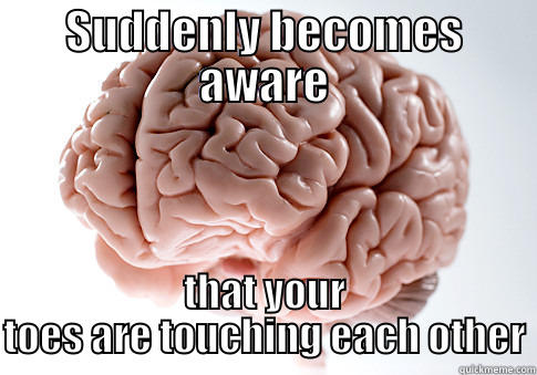 SUDDENLY BECOMES AWARE THAT YOUR TOES ARE TOUCHING EACH OTHER Scumbag Brain
