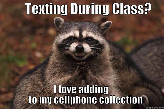           TEXTING DURING CLASS?         I LOVE ADDING                   TO MY CELLPHONE COLLECTION           Evil Plotting Raccoon