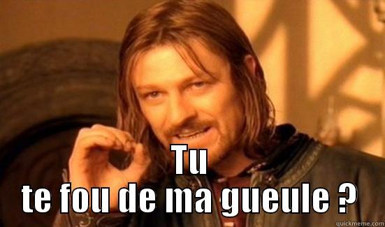  TU TE FOU DE MA GUEULE ? Boromir