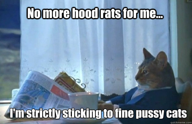 No more hood rats for me... I'm strictly sticking to fine pussy cats - No more hood rats for me... I'm strictly sticking to fine pussy cats  Sophisticated Cat