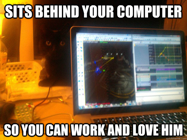 Sits behind your computer So you can work and love him  Good Guy Cat