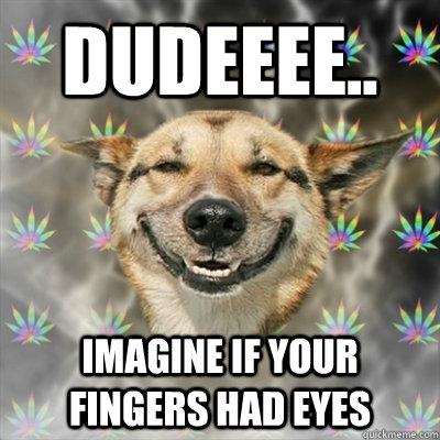 Dudeeee.. imagine if your fingers had eyes  Stoner Dog