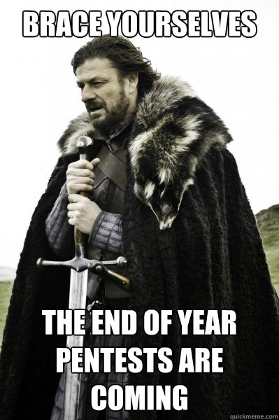 Brace yourselves The End of Year Pentests are coming  Brace Steve