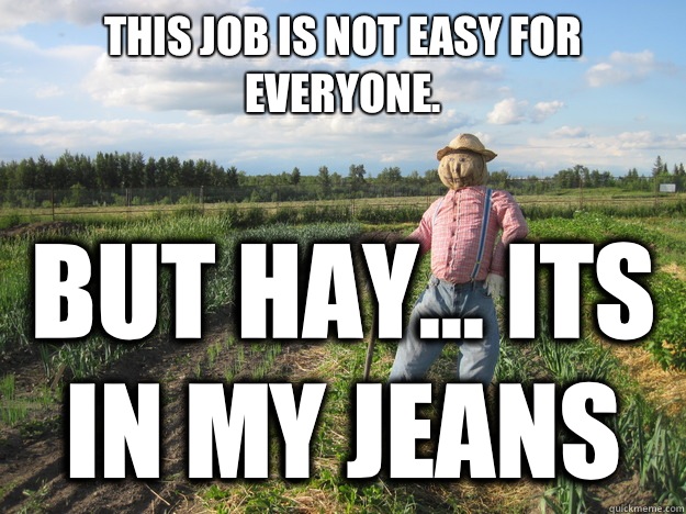 This job is not easy for everyone. But hay... Its in my jeans  Scarecrow