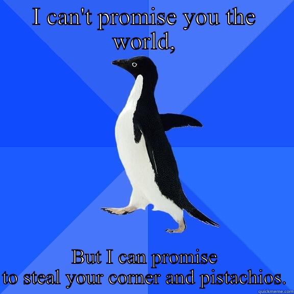 I CAN'T PROMISE YOU THE WORLD, BUT I CAN PROMISE TO STEAL YOUR CORNER AND PISTACHIOS. Socially Awkward Penguin