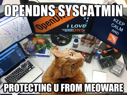 OpenDNS Syscatmin Protecting u from meoware  