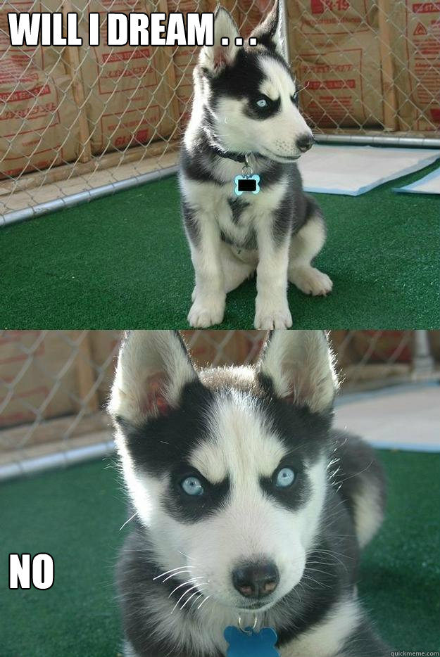 Will i dream . . . no  Insanity puppy